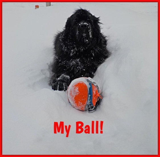 My Ball